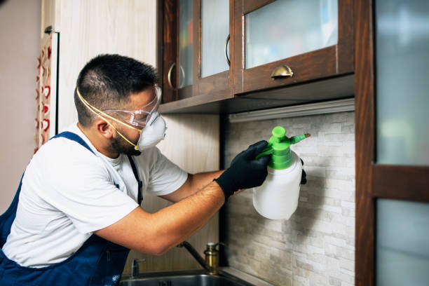 Best Bed Bug Extermination  in Colmar Manor, MD