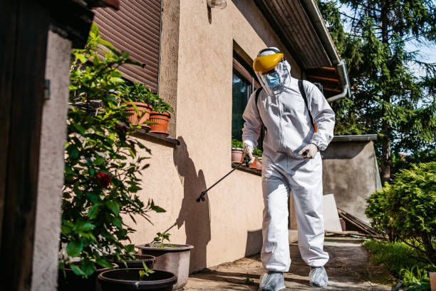 Flea Control Services in Colmar Manor, MD