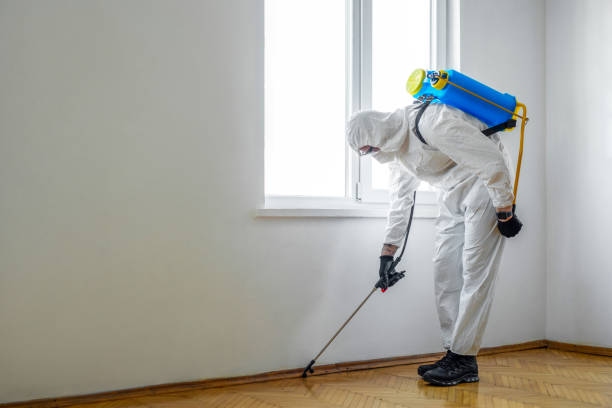 Best Pest Control Treatment  in Colmar Manor, MD
