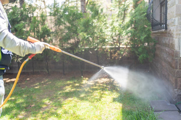 Best Residential Pest Control  in Colmar Manor, MD