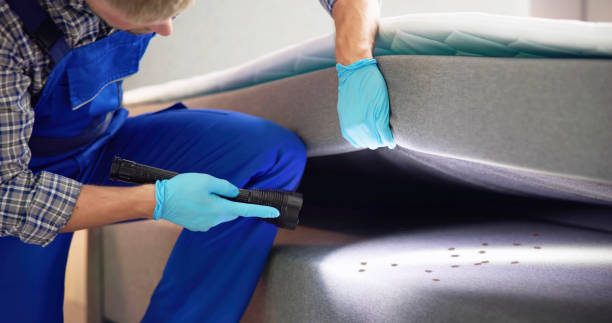 Best Local Pest Control Services  in Colmar Manor, MD