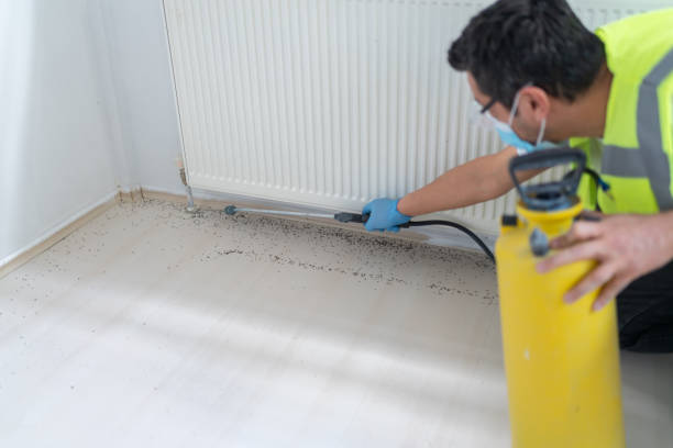 Best Pest Removal Services  in Colmar Manor, MD