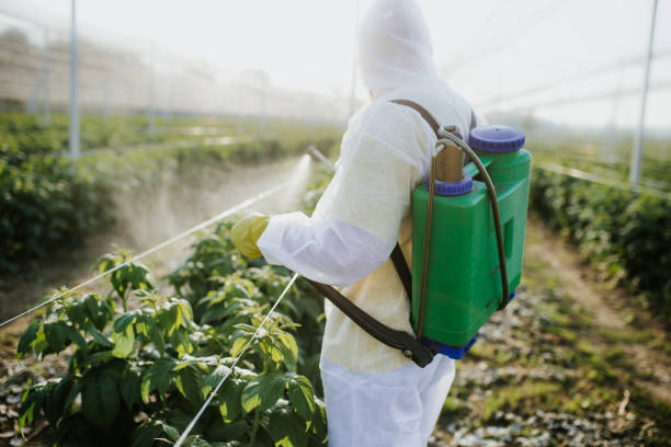 Best Exterminator Services  in Colmar Manor, MD